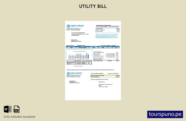 lista para imprimir plantilla de factura de servicios públicos de electricida 24